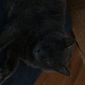 Meet your Posher, Denise